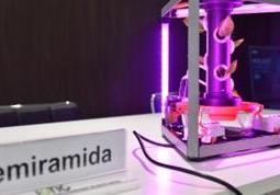 Проект комнатных микрогидропонных установок по программе SLL